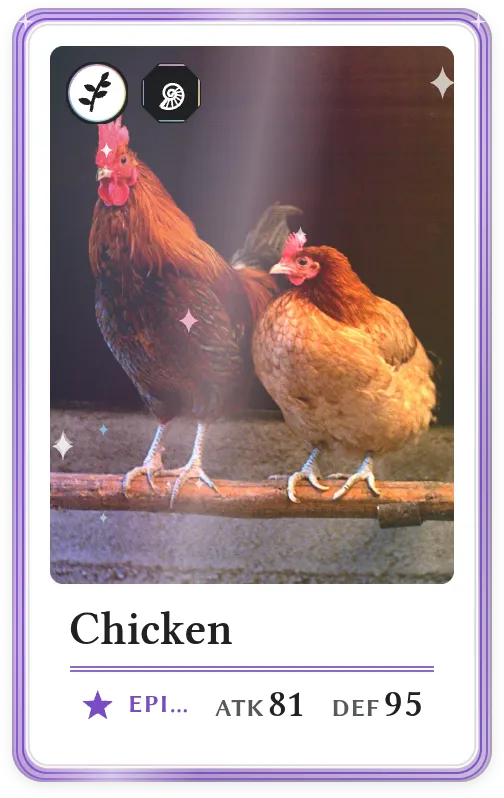 Chicken, Epic, ATK 81, DEF 95