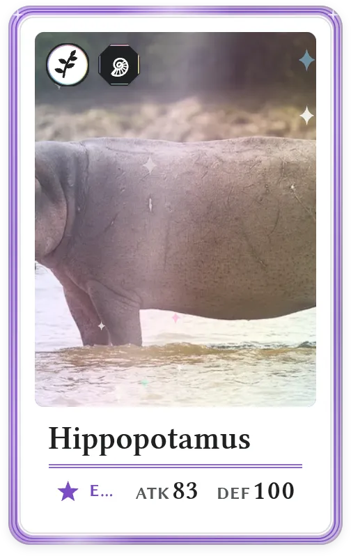 Hippopotamus, Epic, ATK 83, DEF 100