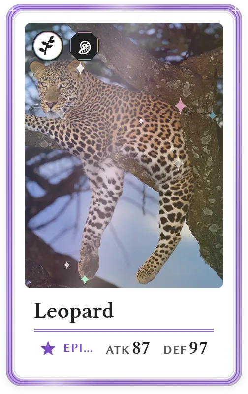 Leopard, Epic, ATK 87, DEF 97