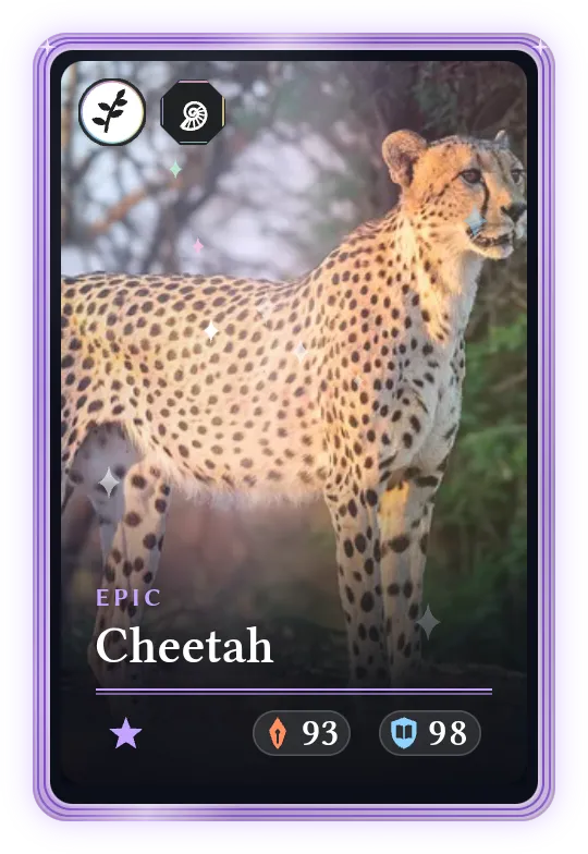 Cheetah, Epic, ATK 93, DEF 98