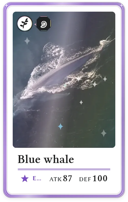 Blue whale, Epic, ATK 87, DEF 100