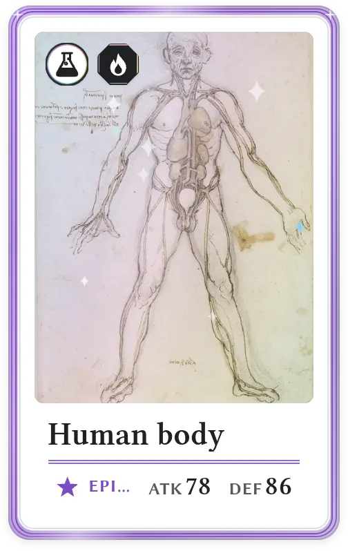 Human body, Epic, ATK 78, DEF 86