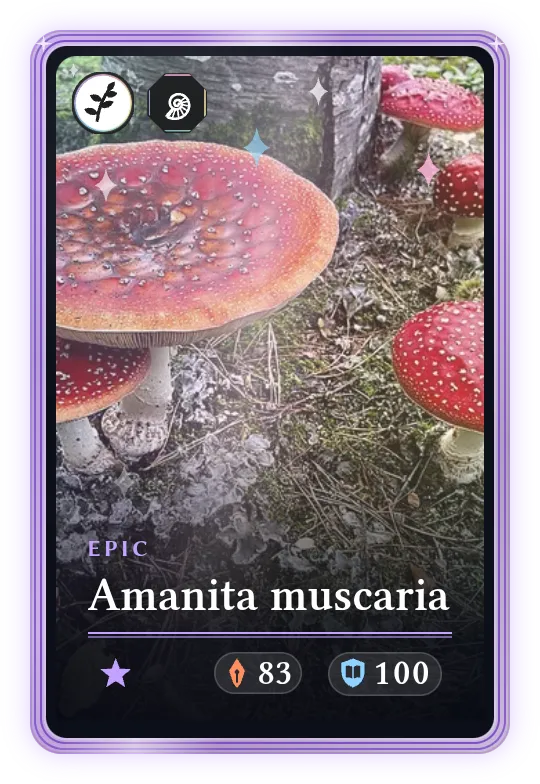 Amanita muscaria, Epic, ATK 83, DEF 100