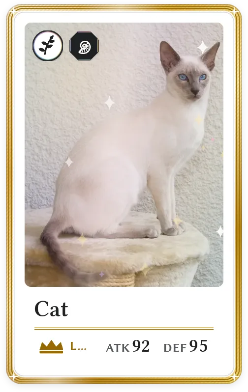 Cat, Legendary, ATK 92, DEF 95