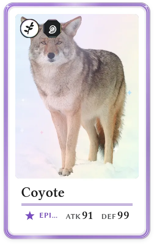 Coyote, Epic, ATK 91, DEF 99