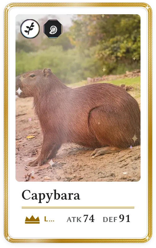 Capybara, Legendary, ATK 74, DEF 91