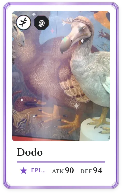 Dodo, Epic, ATK 90, DEF 94