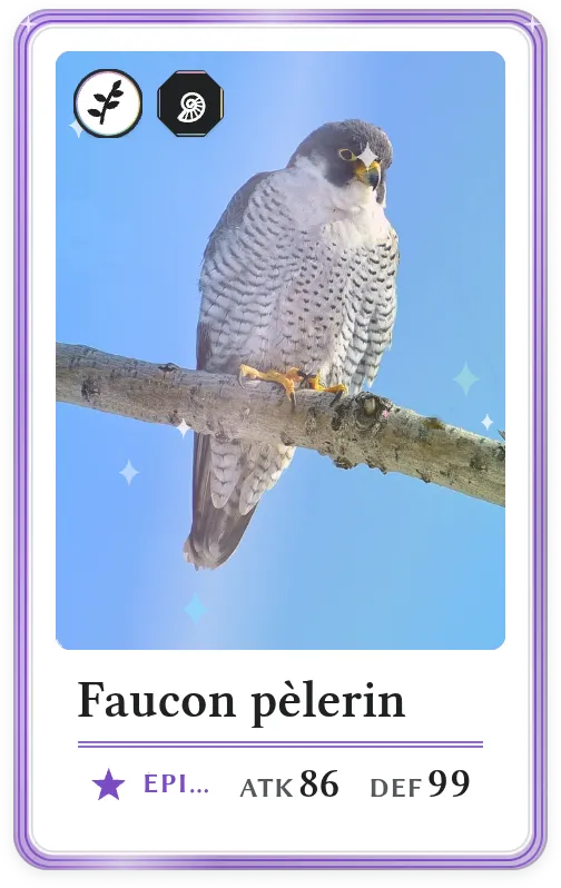 Faucon pèlerin, Épique, ATK 86, DEF 99