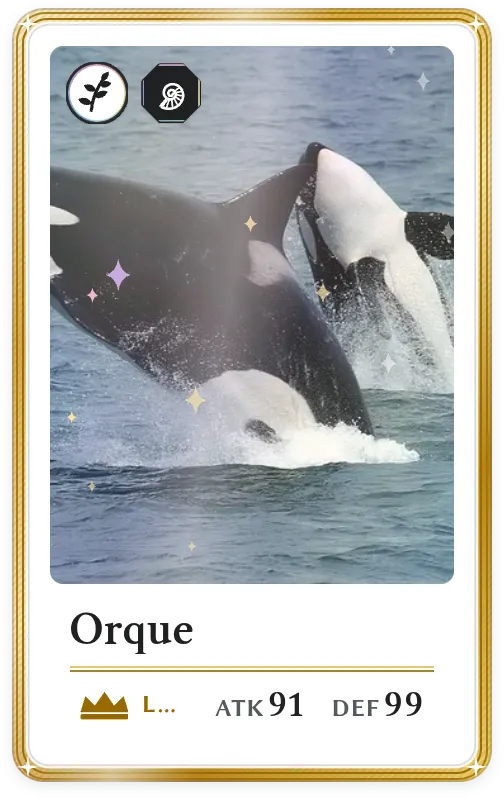 Orque, Légendaire, ATK 91, DEF 99