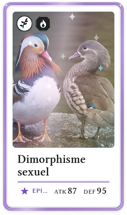 Dimorphisme sexuel, Épique, ATK 87, DEF 95