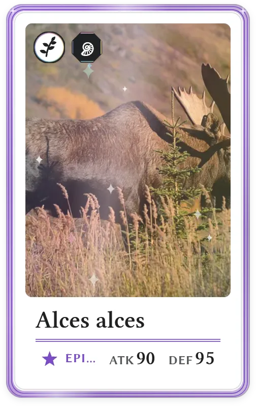Alces alces, Épique, ATK 90, DEF 95