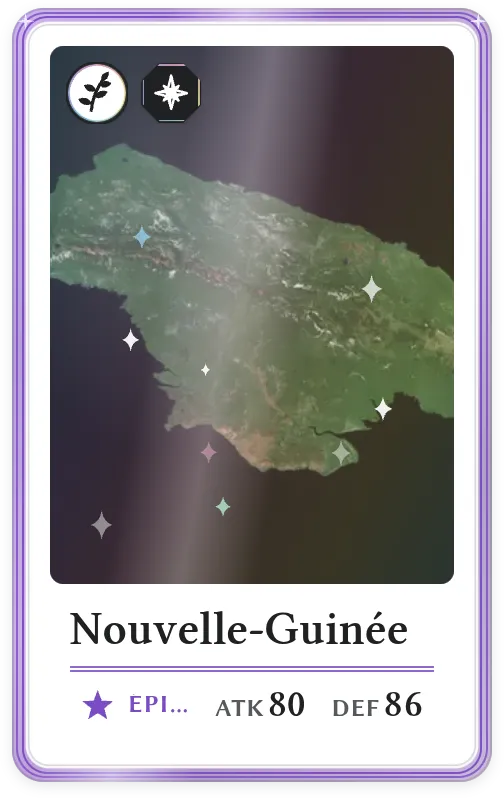 Nouvelle-Guinée, Épique, ATK 80, DEF 86