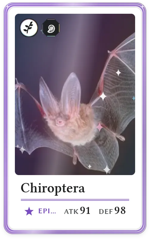 Chiroptera, Épique, ATK 91, DEF 98
