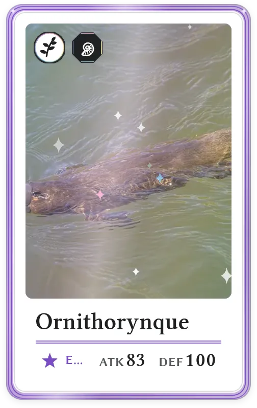 Ornithorynque, Épique, ATK 83, DEF 100