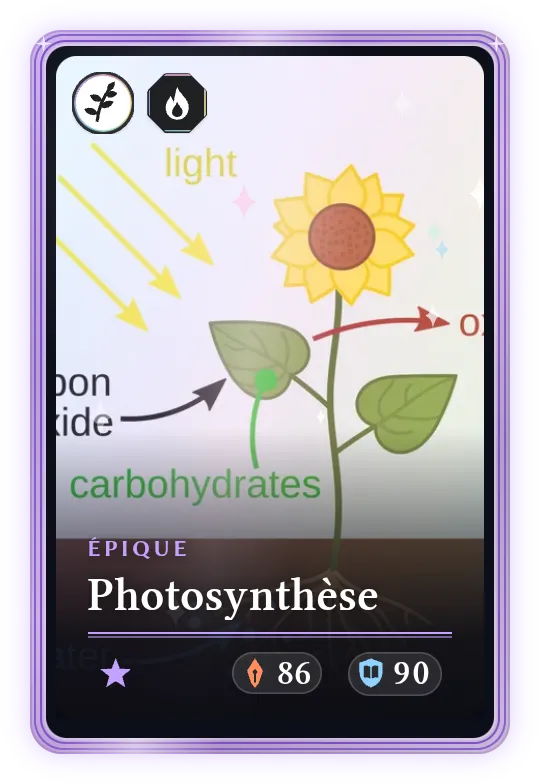 Photosynthèse, Épique, ATK 86, DEF 90