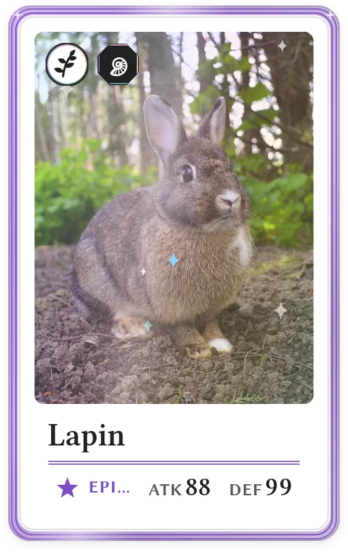 Lapin, Épique, ATK 88, DEF 99