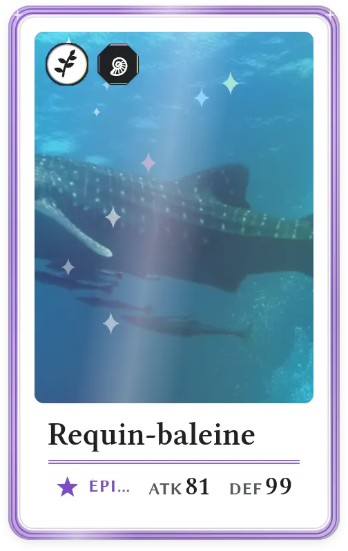Requin-baleine, Épique, ATK 81, DEF 99