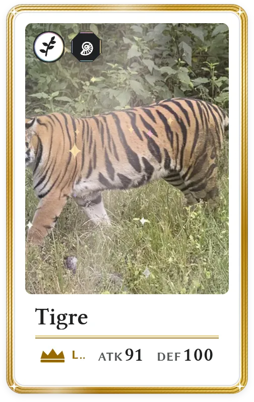 Tigre, Légendaire, ATK 91, DEF 100