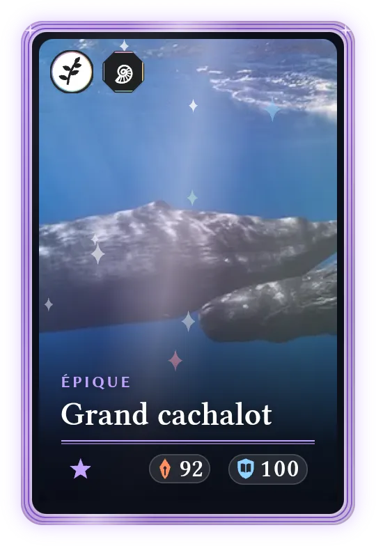 Grand cachalot, Épique, ATK 92, DEF 100