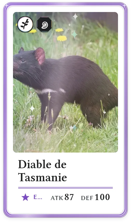 Diable de Tasmanie, Épique, ATK 87, DEF 100