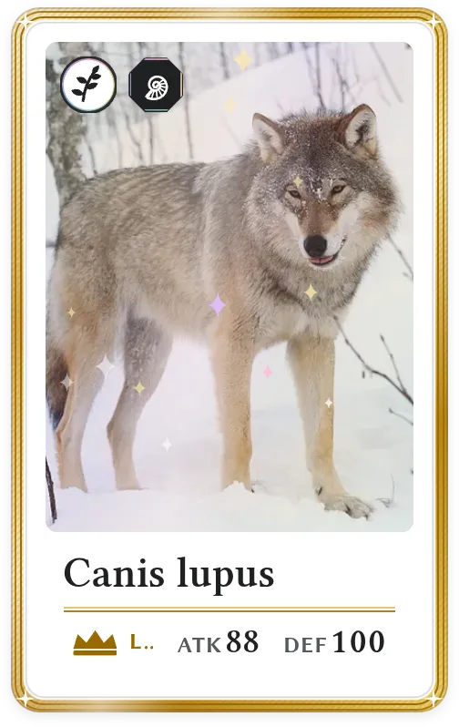 Canis lupus, Légendaire, ATK 88, DEF 100