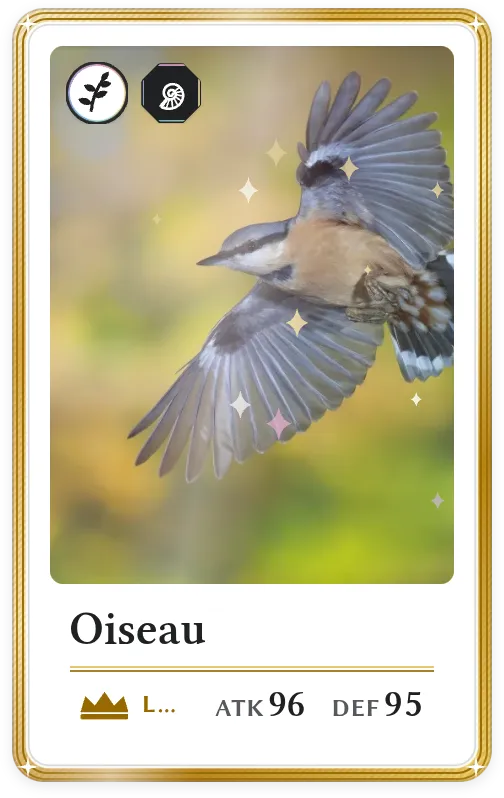 Oiseau, Légendaire, ATK 96, DEF 95