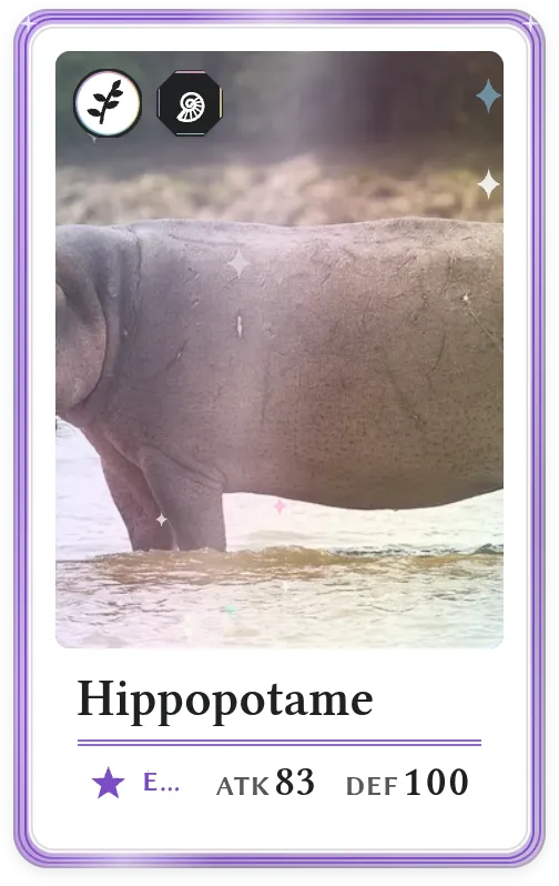 Hippopotame, Épique, ATK 83, DEF 100