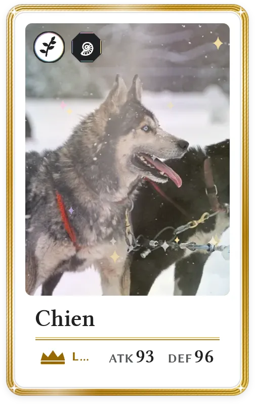 Chien, Légendaire, ATK 93, DEF 96