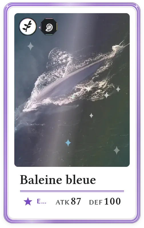 Baleine bleue, Épique, ATK 87, DEF 100