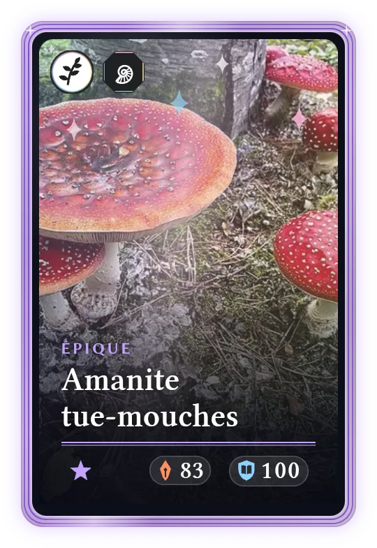 Amanite tue-mouches, Épique, ATK 83, DEF 100