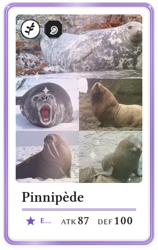 Pinnipède, Épique, ATK 87, DEF 100