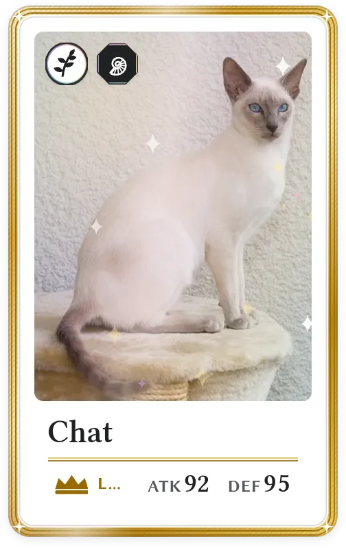 Chat, Légendaire, ATK 92, DEF 95