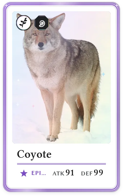 Coyote, Épique, ATK 91, DEF 99