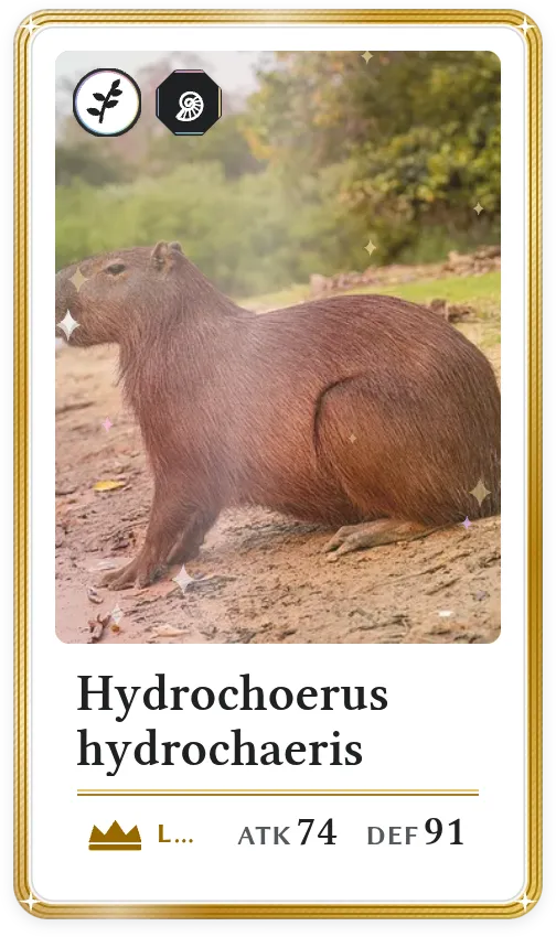 Hydrochoerus hydrochaeris, Légendaire, ATK 74, DEF 91
