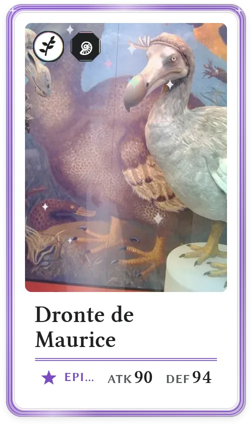 Dronte de Maurice, Épique, ATK 90, DEF 94